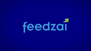 Feedzai -  fighting financial crime with a RiskOps approach